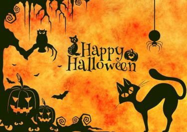 Từ vựng chủ đề Lễ hội HALLOWEEN
