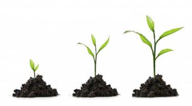 Tiếng anh giao tiếp