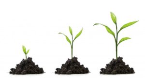 khoi-nghiep-va-that-bai-hinh-anh-6