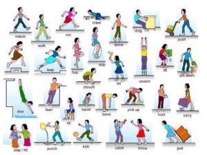 từ vựng tiếng Anh liên quan đến hành động và động tác cơ thể con người